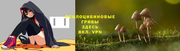 apvp Лиски