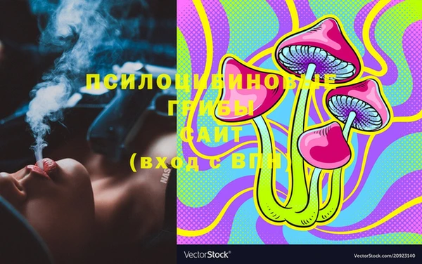 apvp Лиски