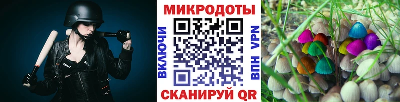 закладка  Батайск  Псилоцибиновые грибы мухоморы 