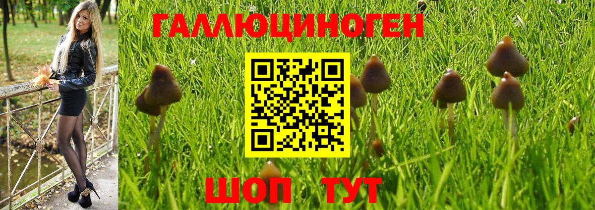 Псилоцибиновые грибы мухоморы  Батайск 