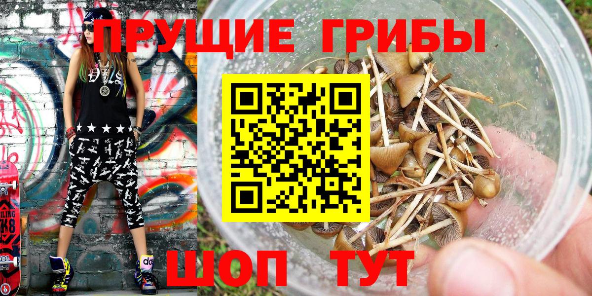 Галлюциногенные грибы мицелий Батайск